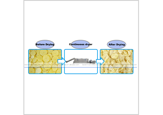 potato  dryer/drying machine